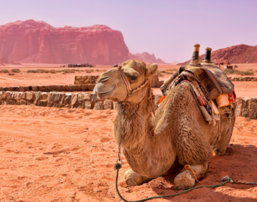 Oman Empty Qurter