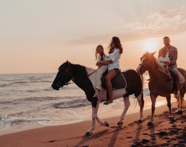 Horse Riding Salalah
