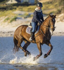 Horse Riding Salalah