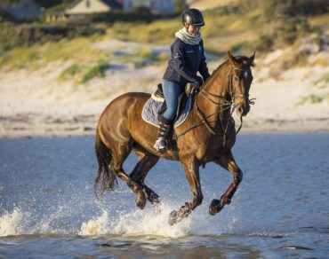 Horse Riding Salalah