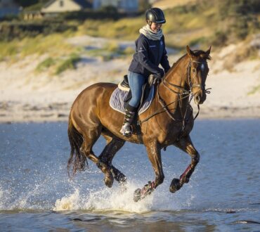 Horse Riding Salalah