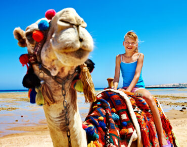 Camel Riding Salalah