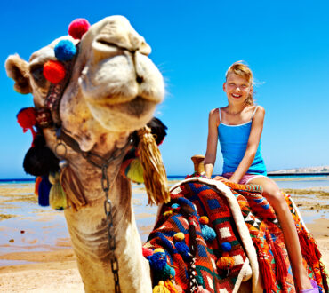 Camel Riding Salalah