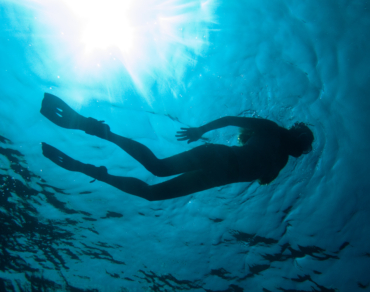 Snorkeling Tour