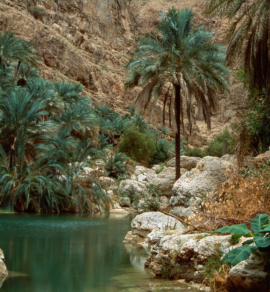 Wadi Shab