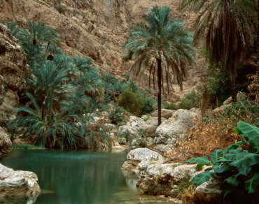 Wadi Shab
