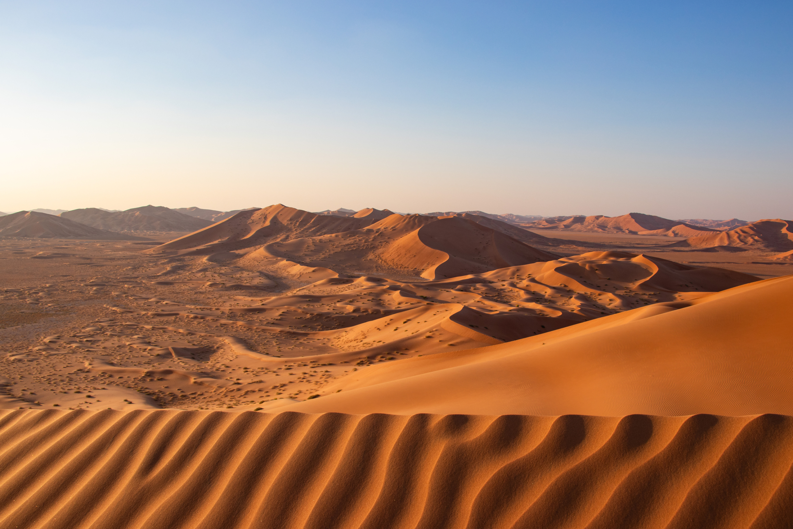 Waves in the dunes