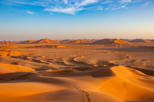Dunes in the desert of Rub al Khali