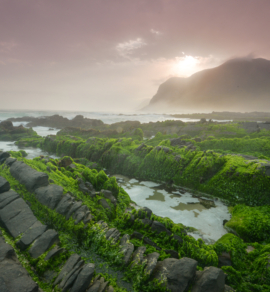 The Monsoon Season