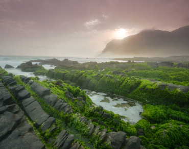 The Monsoon Season