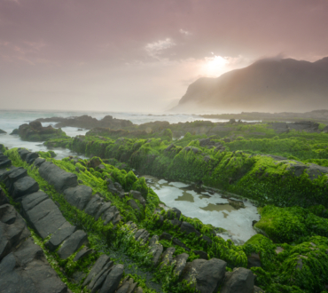 The Monsoon Season