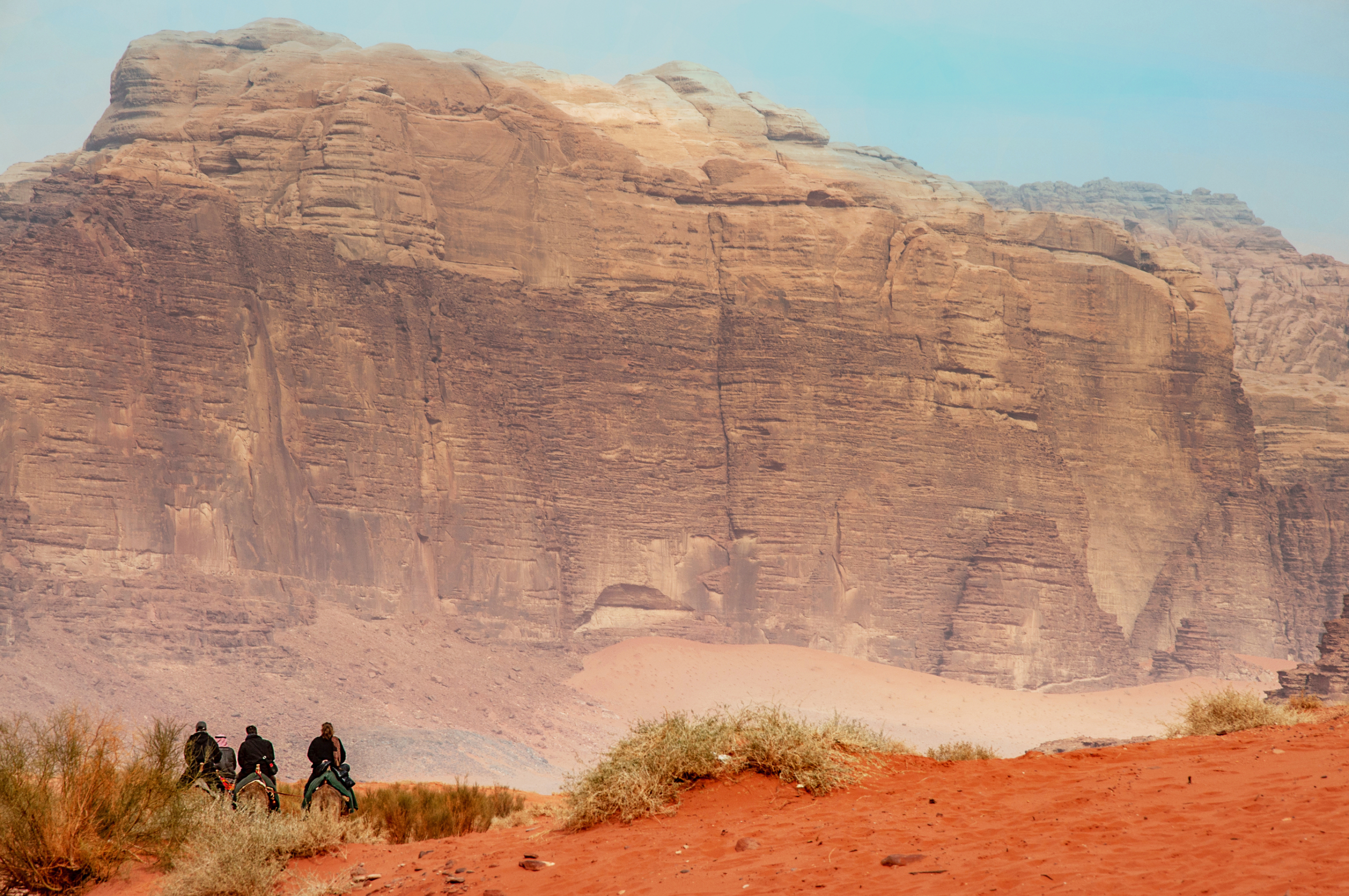 Horses in Desert