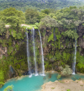 Salalah in Winter