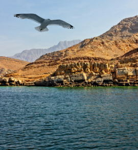 Khasab Mountain safari