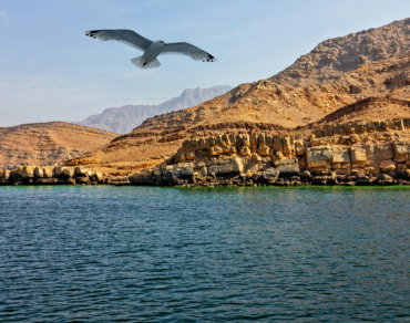 Khasab Mountain safari