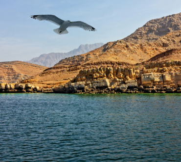 Khasab Mountain safari