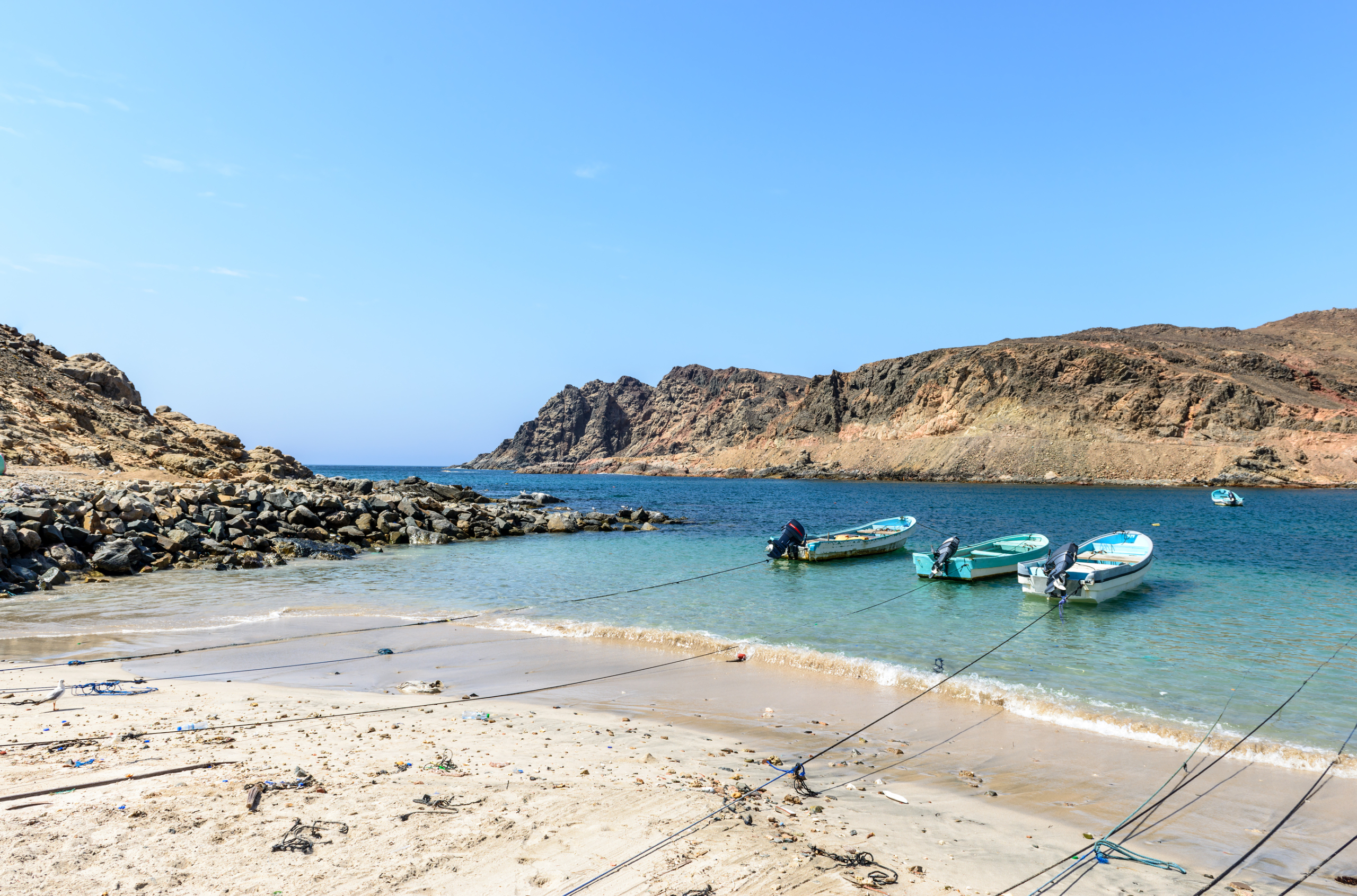 Safari in Salalah