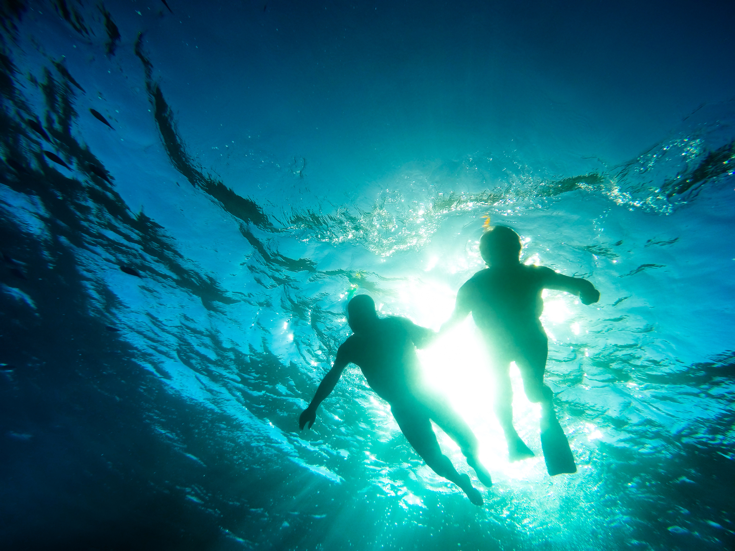 Swimming scenes