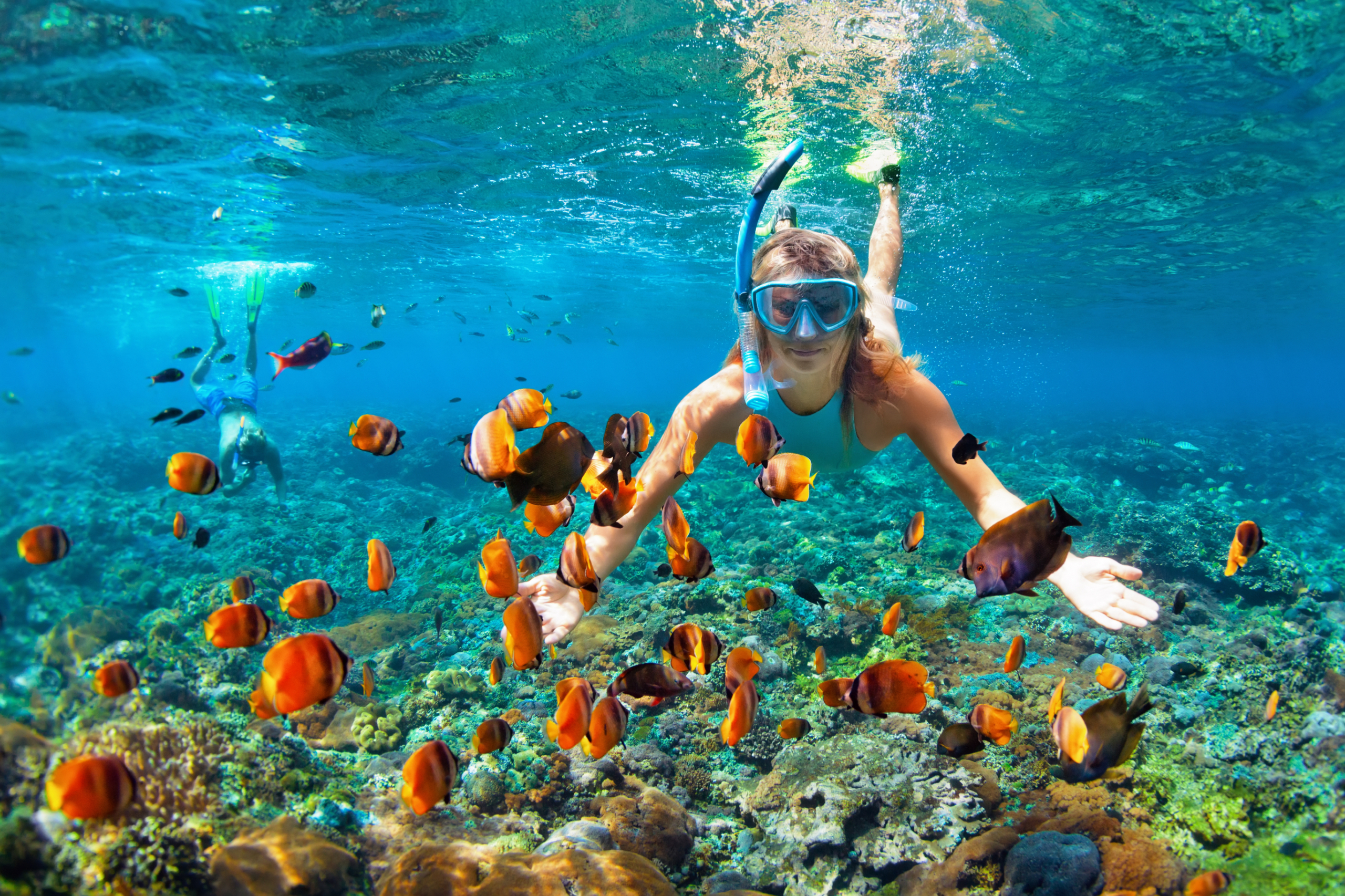 Snorkeling with tropical fishes