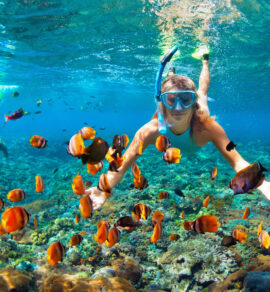 Snorkeling In Mirbat Salalah