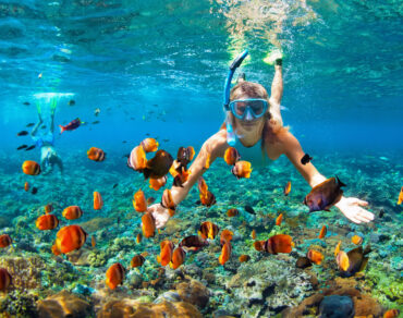Snorkeling In Mirbat Salalah