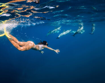 The best adventure Swimming with Dolphins In Salalah