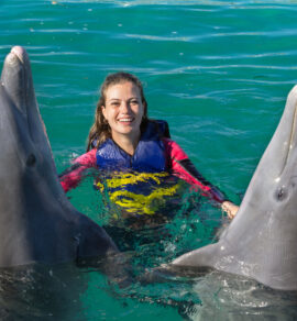 Swimming with Dolphins Salalah