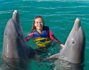 Swimming with Dolphins Salalah