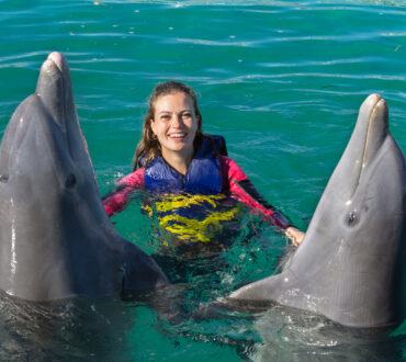 Swimming with Dolphins Salalah