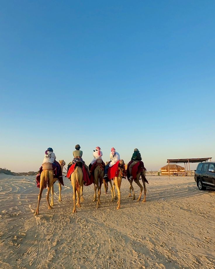 group Camal riding