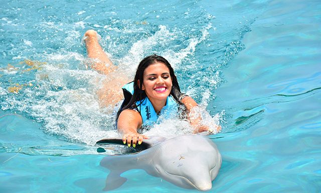 Beautiful moments with dolphins
