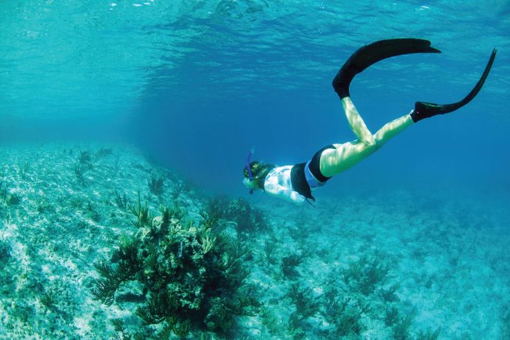 Snorkeling under Salalah Sea